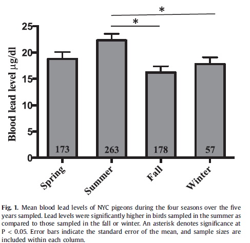 Pigeon Seasonality NYC